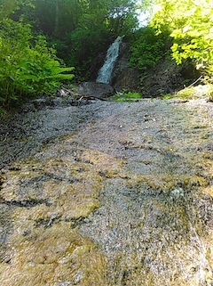 c0359615_21425986.jpg