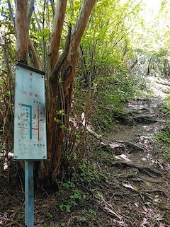 c0359615_21434571.jpg