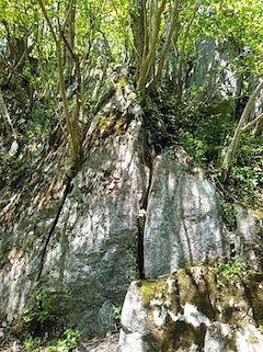 c0359615_21441144.jpg