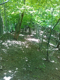 c0359615_21443469.jpg