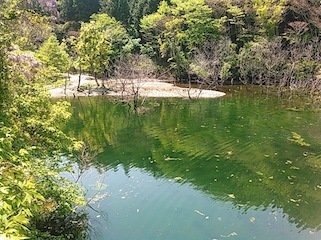 c0359615_21445935.jpg
