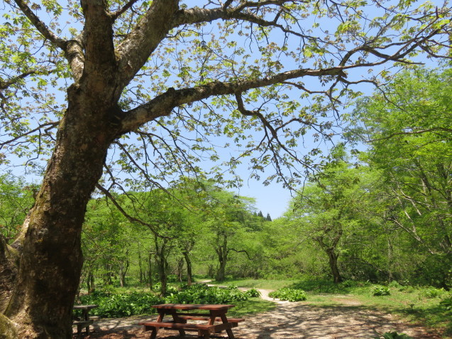 b0344816_21510057.jpg
