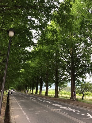 c0227720_22594450.jpg