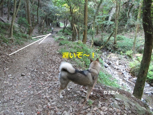 f0143123_10201117.jpg
