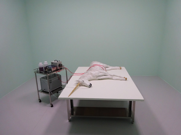 e0192725_08365901.jpg