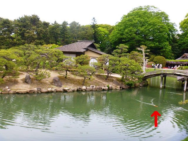 d0137326_14001318.jpg
