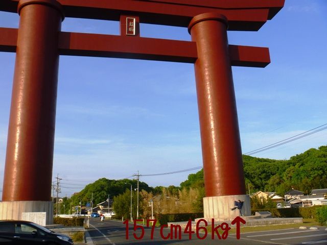 d0137326_14033710.jpg