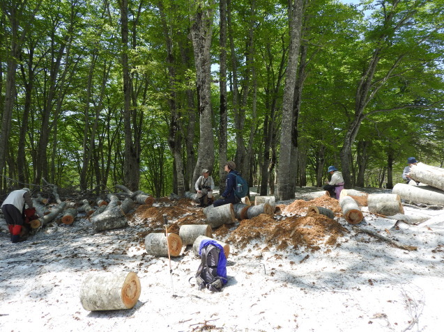f0118332_22272009.jpg