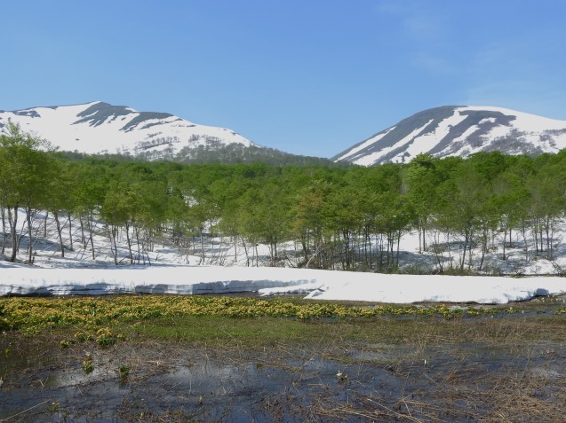 f0118332_22303922.jpg