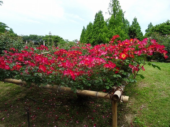 b0299042_19215183.jpg