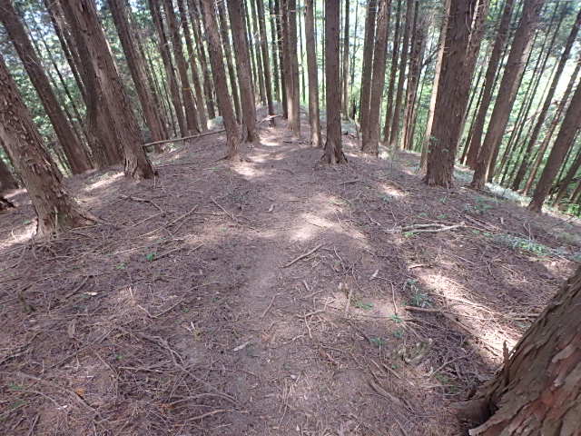 f0334143_17501612.jpg