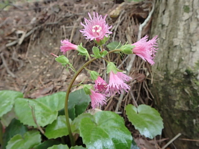 f0334143_17514973.jpg