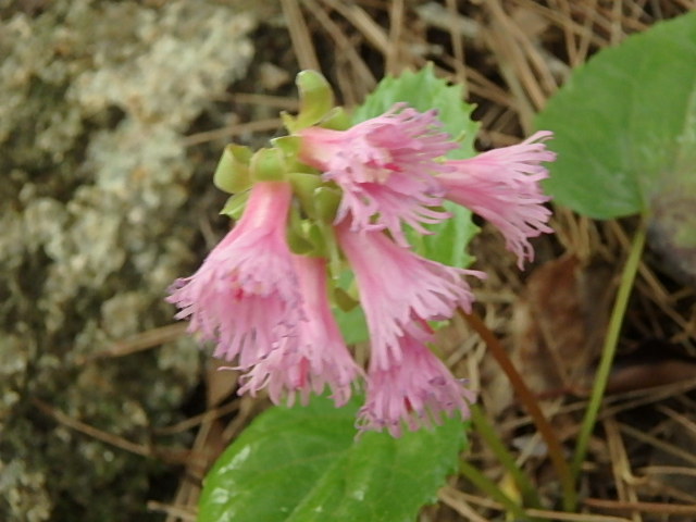 f0334143_17522724.jpg