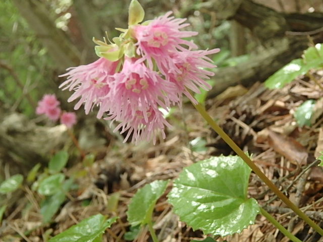 f0334143_17525947.jpg