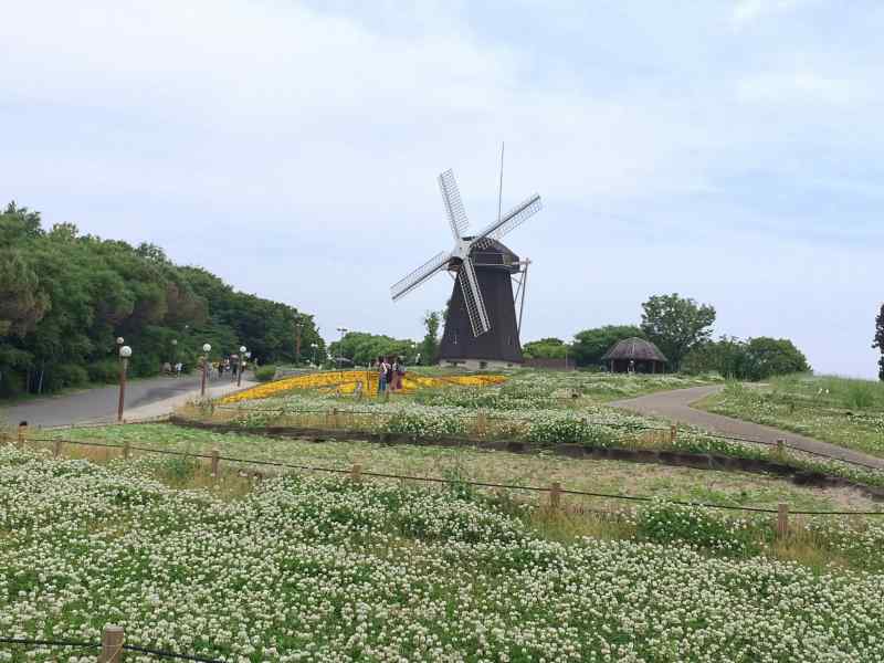 d0151746_16522919.jpg