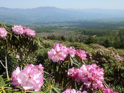 b0126549_12292437.jpg
