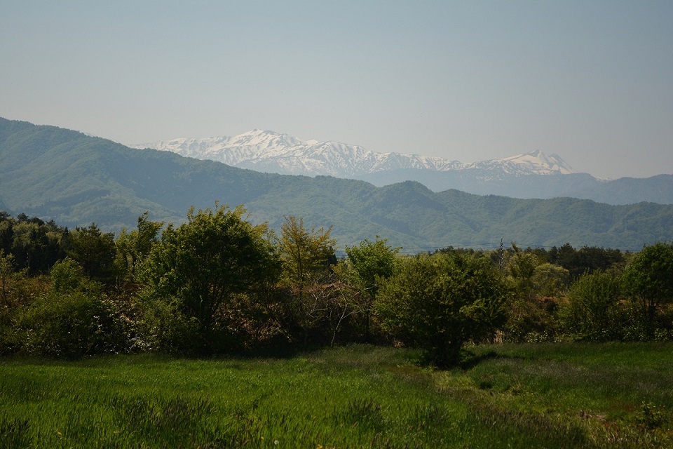 a0055650_1383372.jpg