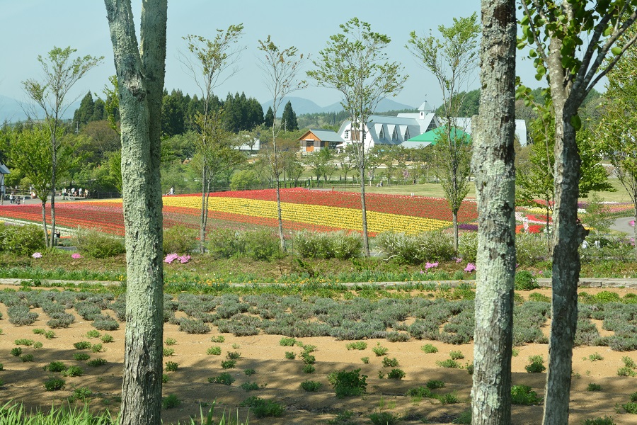 a0055650_13856100.jpg