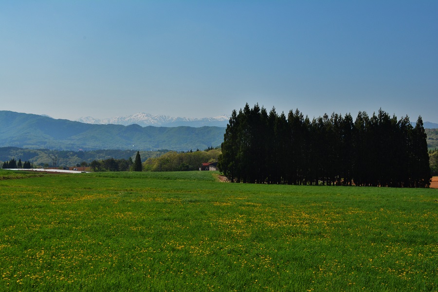 a0055650_1392332.jpg