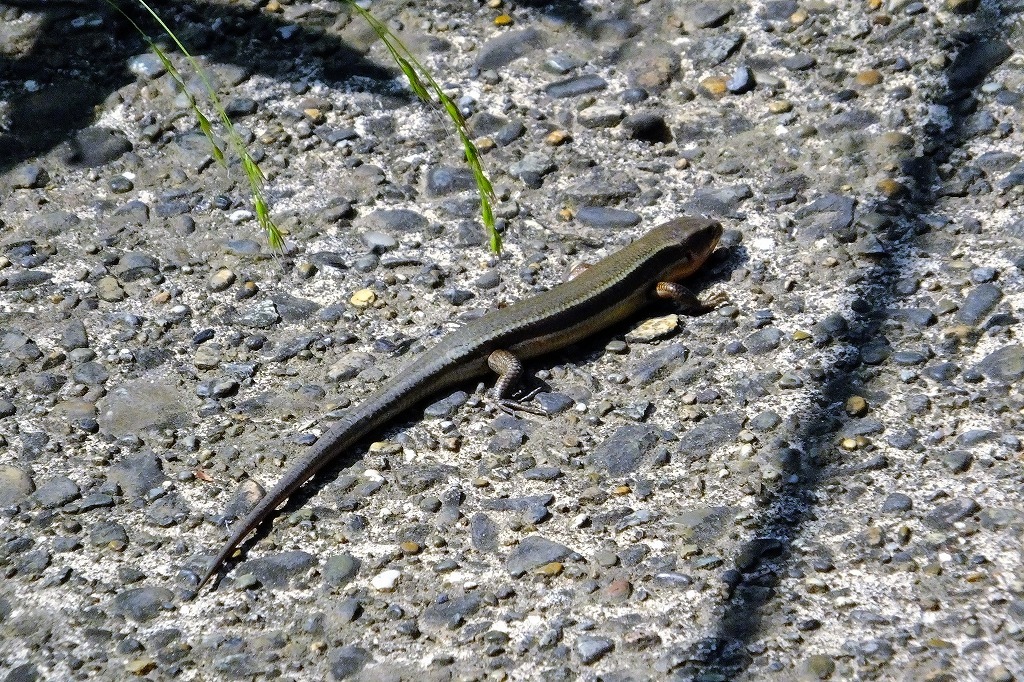 b0236251_17221860.jpg