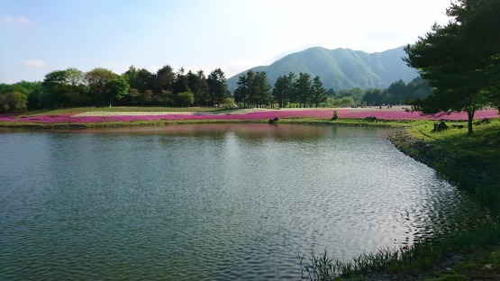 d0347253_00304528.jpg