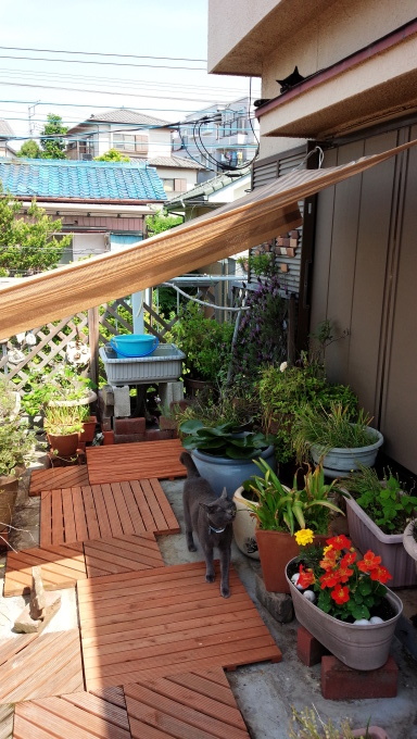 f0374160_22152199.jpg