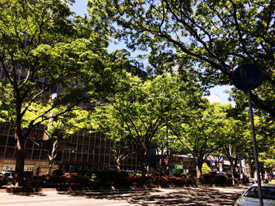 c0050264_13165476.jpg