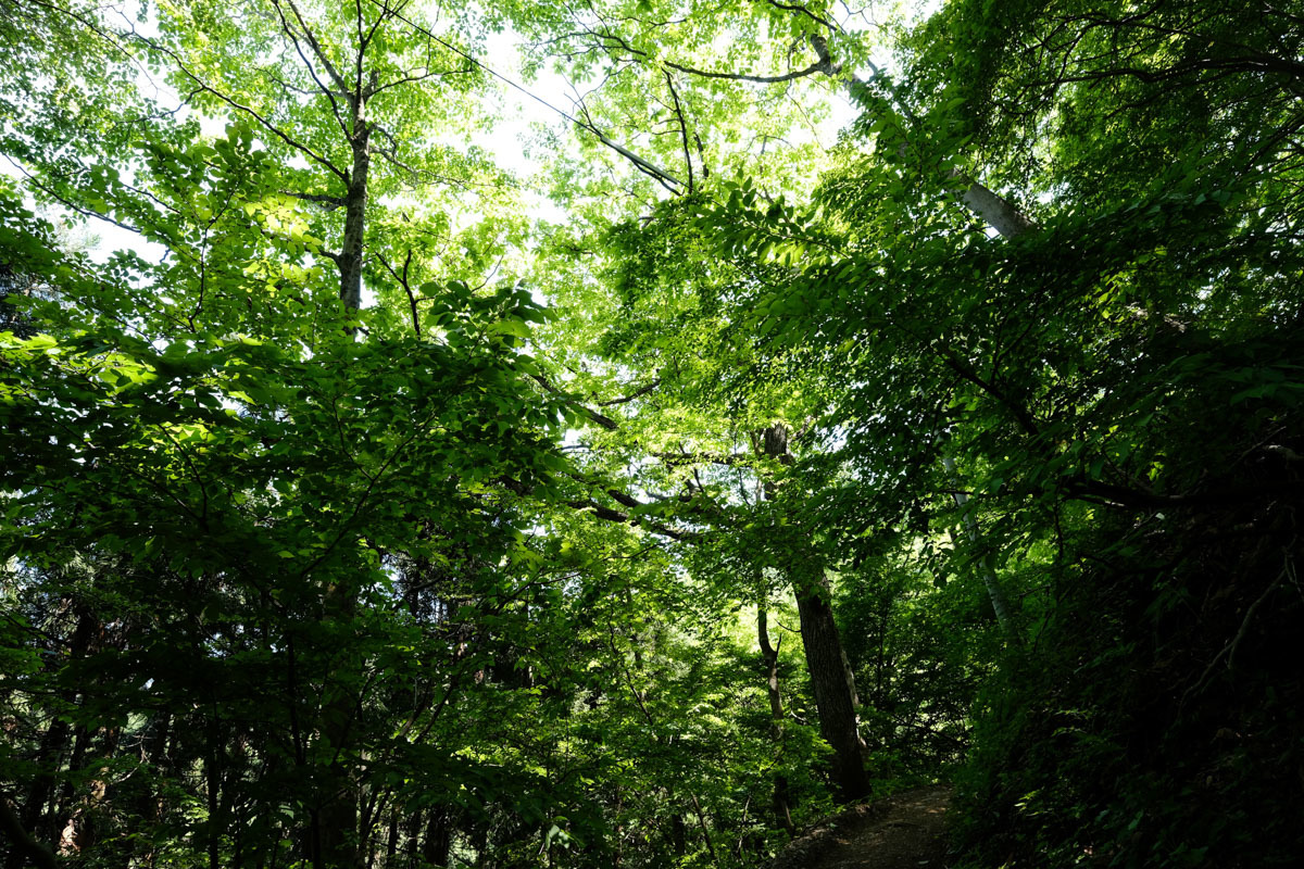 c0084666_20320511.jpg
