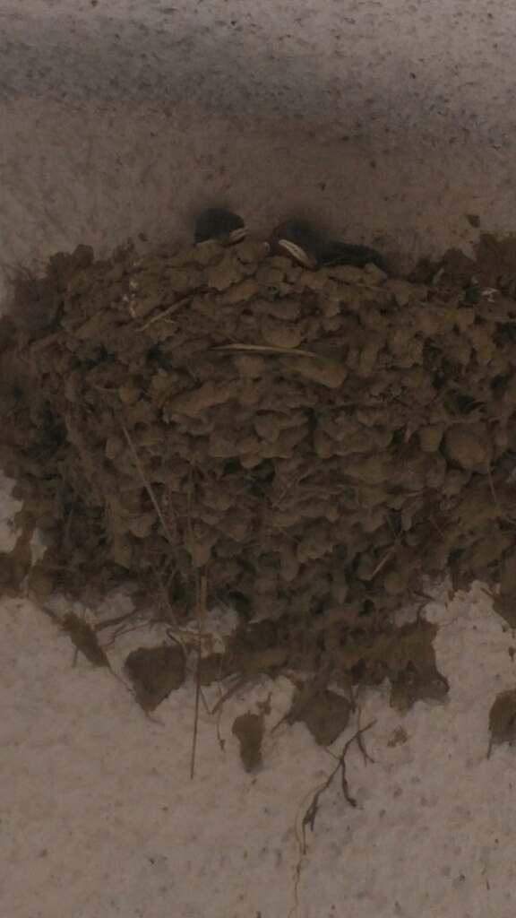 e0151266_10260482.jpg