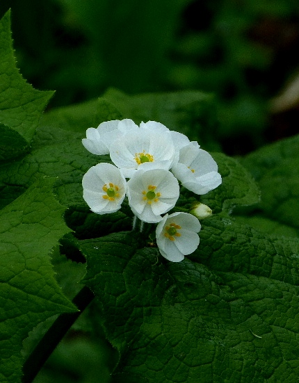 d0084473_19454095.jpg