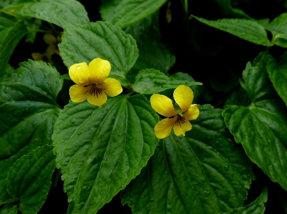 d0084473_19463516.jpg
