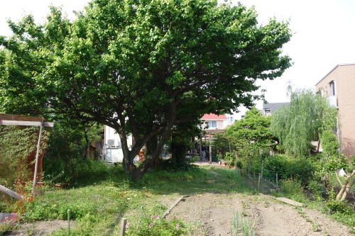 b0245877_23595280.jpg