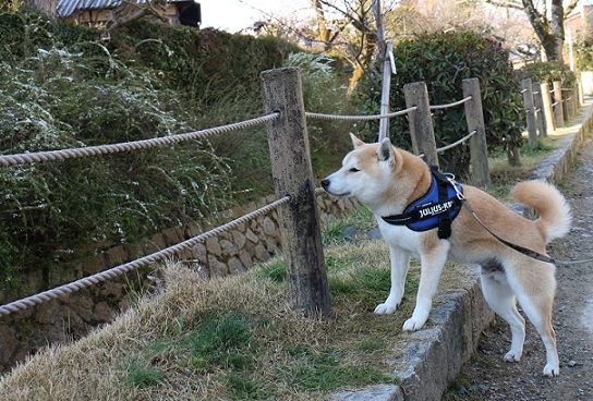 f0230777_10240913.jpg