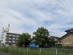 e0130185_1457391.jpg