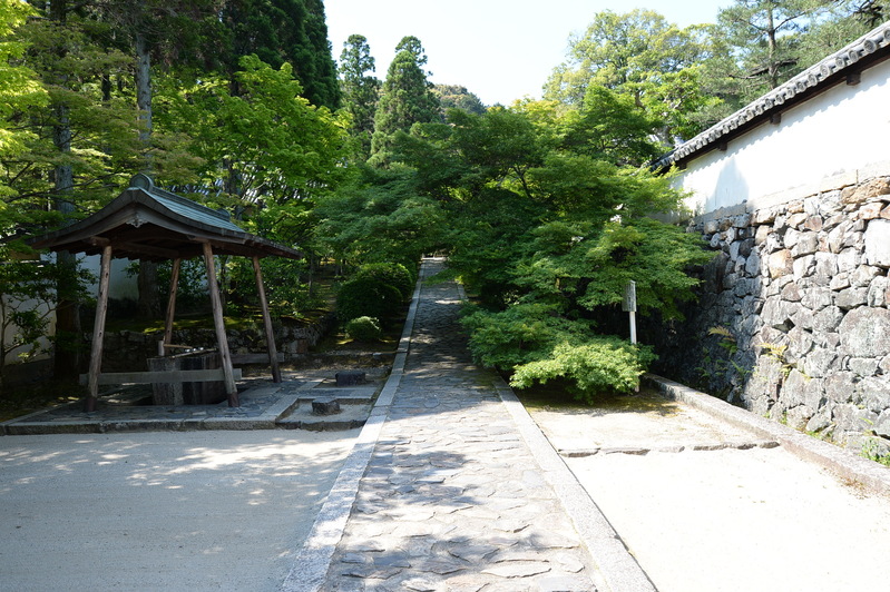 e0108791_618259.jpg