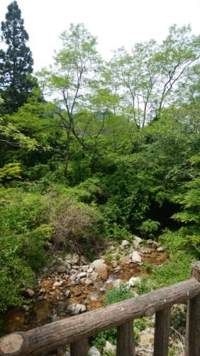 a0348193_20210502.jpg