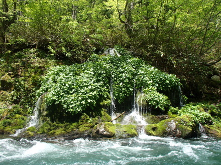 e0211293_20362379.jpg
