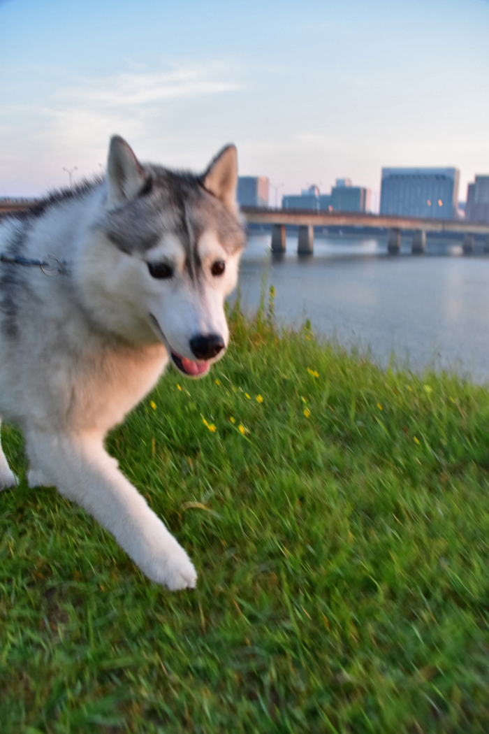 c0049299_18201106.jpg