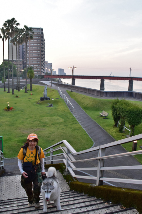 c0049299_18201491.jpg