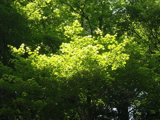 f0187402_21202251.jpg