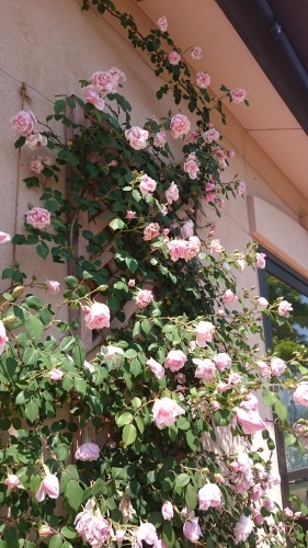 e0351303_22421246.jpg