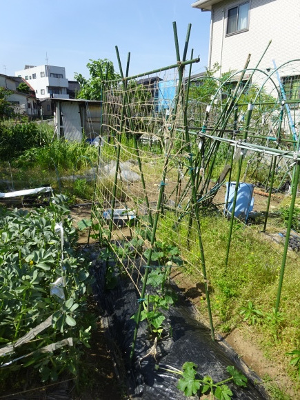 c0369304_22051910.jpg