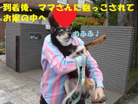 f0121712_14501841.jpg