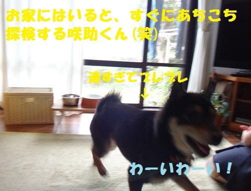 f0121712_16133920.jpg