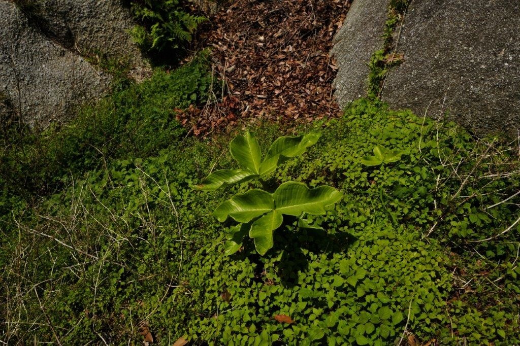 f0365212_21510168.jpg