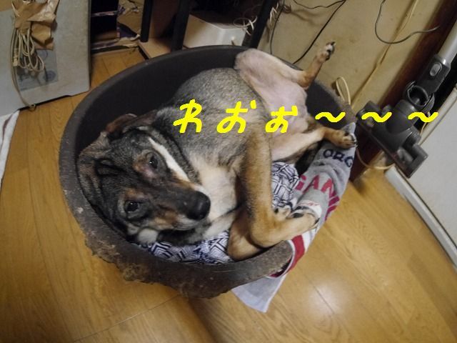 f0282319_17132244.jpg