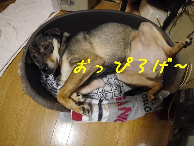 f0282319_17133155.jpg