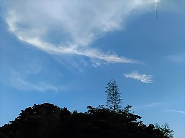 f0354923_23242276.jpg