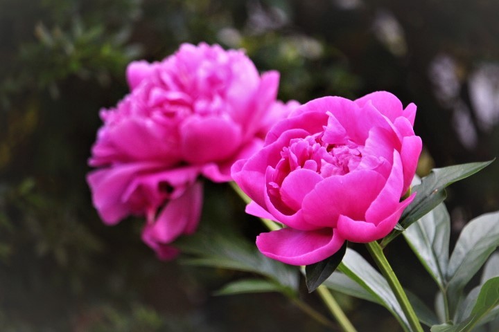 f0354923_23362349.jpg