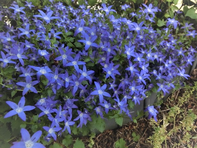 f0354923_23443488.jpg